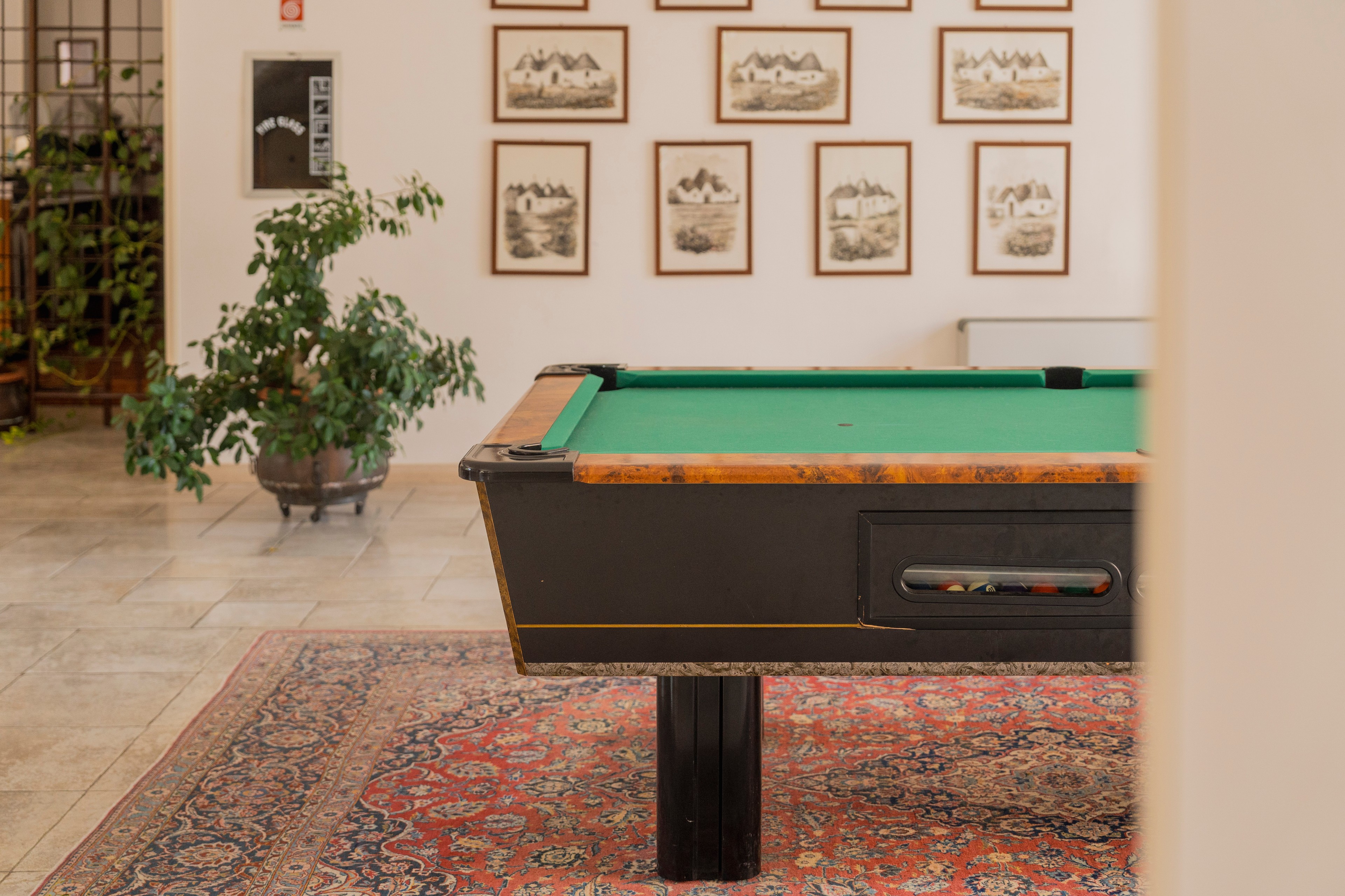 Sala biliardo di Hotel Villa Rosa
